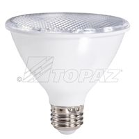 LED PAR38 17 Watt Flood Warm Medium Base Economy Solution